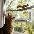 thumbnail image 4 of Foldable Cat Window Bed with Strong Suction Cups for Indoor Feline Lounging and Napping Comfort, 4 of 4
