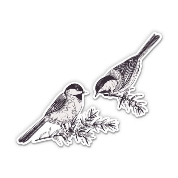 Chickadees - 3" Vinyl Sticker - For Car Laptop I-Pad Phone Helmet Hard Hat - Waterproof Decal
