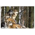 thumbnail image 1 of Wolf Wolves Ceramic Tile Mural Kitchen Backsplash Bathroom Shower, 403109-L64, 1 of 9
