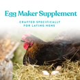 thumbnail image 3 of Alimento para gallinas Manna Pro Omega Egg Maker 2 x 2,3 kg, 3 of 6
