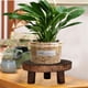 thumbnail image 4 of 1 pieza de madera maciza Mini soporte para maceta taburete de madera maciza, soporte redondo para maceta El 17x6x9cm Cola Soporte portátil para macetas, 4 of 8