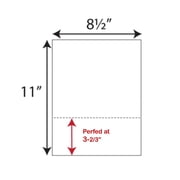 Laser Print Security Paper (SGP-25) with Single Check Perf, Hidden VOID Pantograph, Bond Blue 24-lb, 8.5 x 11, Two Packs (500 Sheets Per Pack) - 1,000 SHEETS