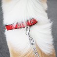thumbnail image 4 of CSChome Adjustable Pet Collar Dog Collar - Adjustable Nylon Long-Lasting Neck Circle with Traction Ring, 4 of 7