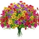 thumbnail image 1 of Flores artificiales Der Rose para decoración de exteriores, 12 unidades, 1 of 6