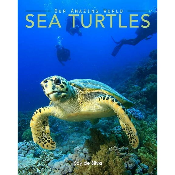 Sea Turtles: Amazing Pictures & Fun Facts on Animals in Nature, (Paperback)