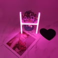 thumbnail image 2 of LINLIN Neon Sign, Letter Neon Signs Neon Alphabet Light Light Up LED Letters Lights Light Up Marquee Letters Lights Battery USB Pink, 2 of 5