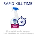 thumbnail image 3 of Kit para derrames de fluidos corporales PURELL 3841-08-CLMS con transportador de conchas de almeja, 3 of 4