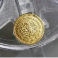 thumbnail image 4 of Moneda 1/20 Veinteavo onza Libertad Oro Puro, 4 of 4