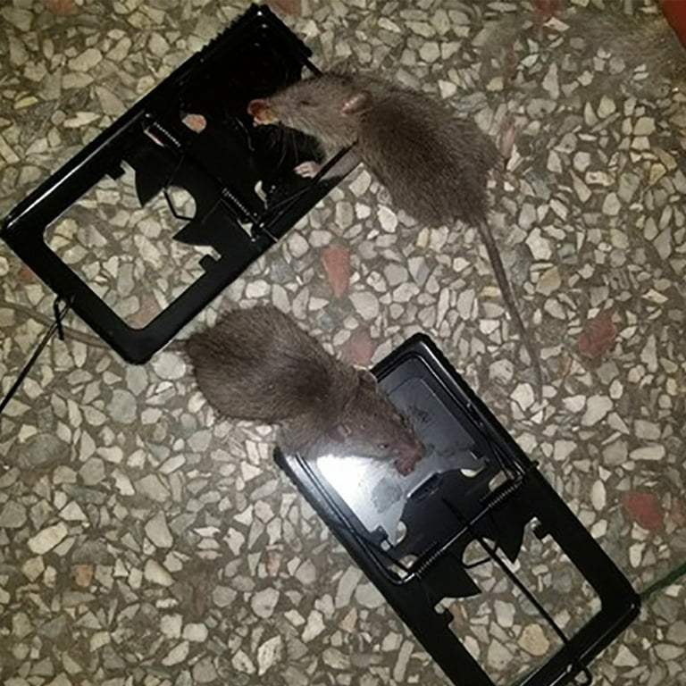 3 pcs Mice Mouse Traps Mousetrap Bait Home Garden Supplies Reusable Black  Metal High Sensitive Snap Spring Rodent Catcher