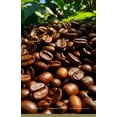 thumbnail image 3 of African Kahawa Blend Medium-Dark | Rich  Complex Flavor (1-12lbs), 3 of 3