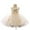 Beige, variant on Baby Flower Princess Dresses Newborn Girls Lace Tulle Dress Wedding Pageant Party Gown Dresses for 9M-3Y