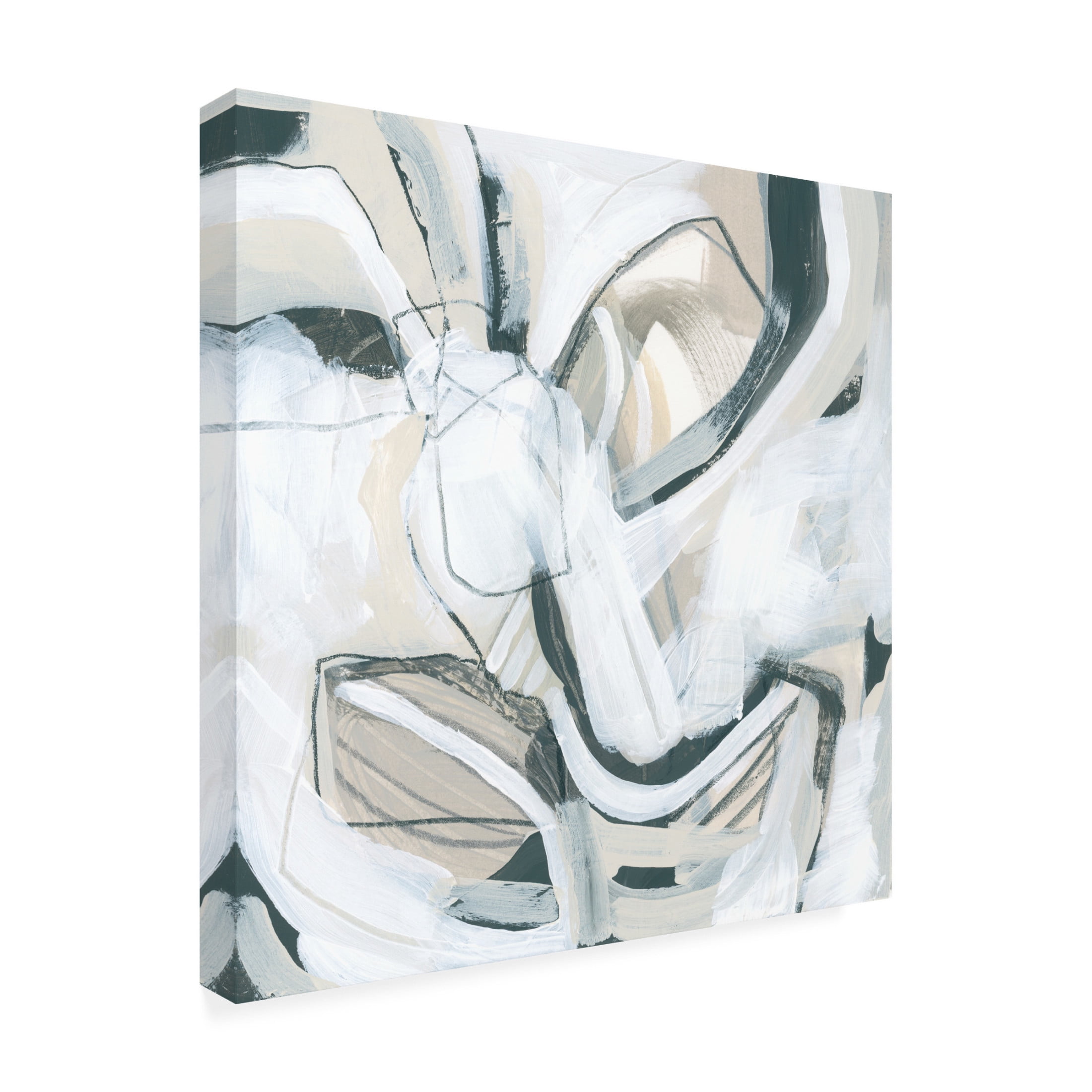 Canvas Wall Art - June Erica Vess 'Twine I' Wall Art for Living Room, Bedroom, or Office Décor by Trademark Fine Art - 24 x 24 Inches