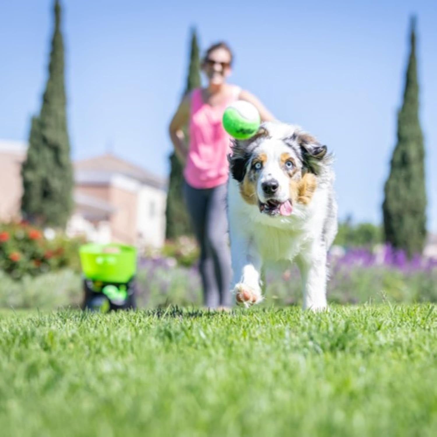 Hyper Pet GoDogGo Fetch Machine Dog Ball Launcher & Automatic Ball Launcher for Dogs With 5 Medium 2.5" Balls for Dogs 20-60 lb