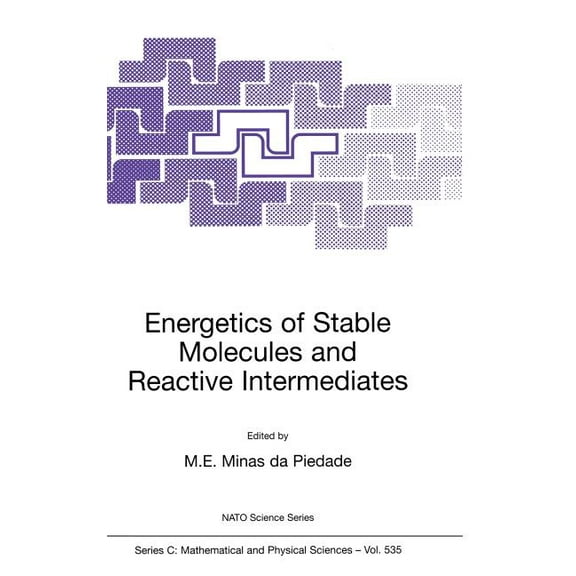 NATO Science Series C: Energetics of Stable Molecules and Reactive Intermediates, Book 535, (Hardcover)