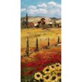 thumbnail image 2 of Italy Sunflower I Poster Print by Katharina Schottler (10 x 20), 2 of 2