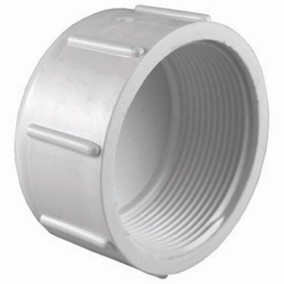 Charlotte Pipe & Found PVC 02117 1400 Pvc Cap Sch 40 1-1/4" Fpt- White