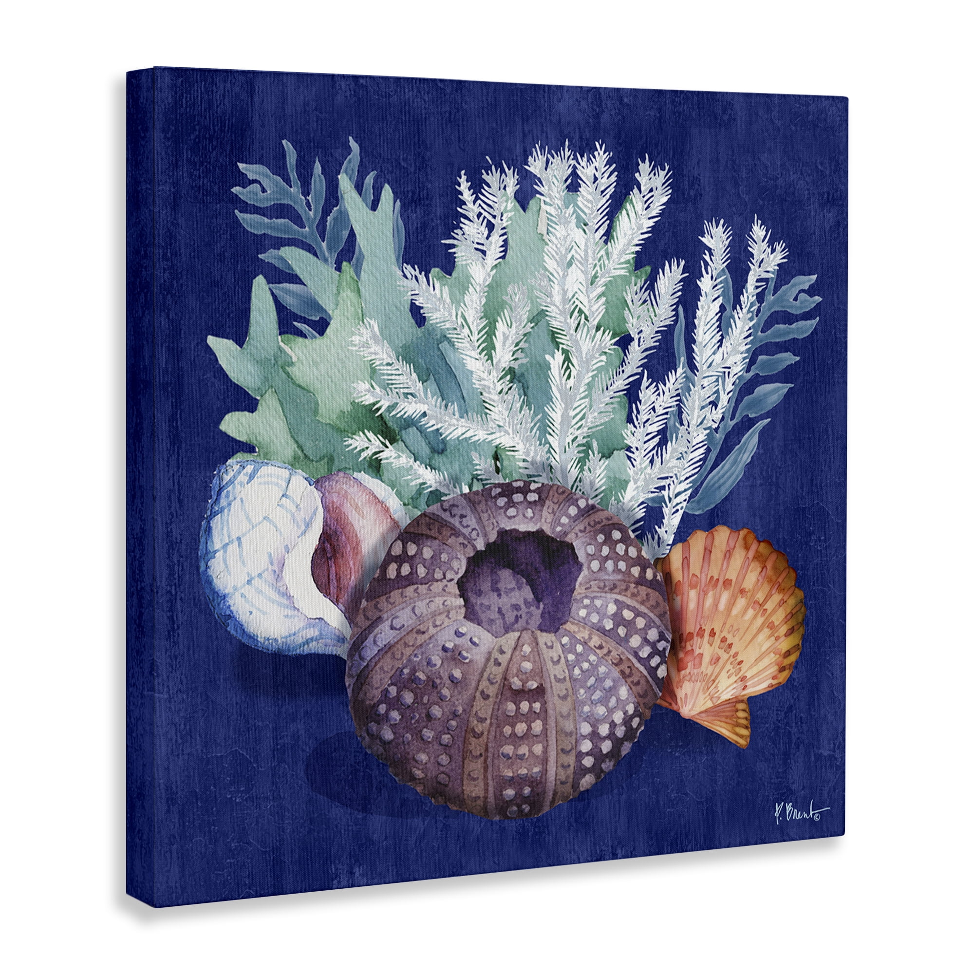 Stupell Industries Urchin Sea Life Coastal Painting Gallery Wrapped Canvas Art Print Wall Art, 36 x 36
