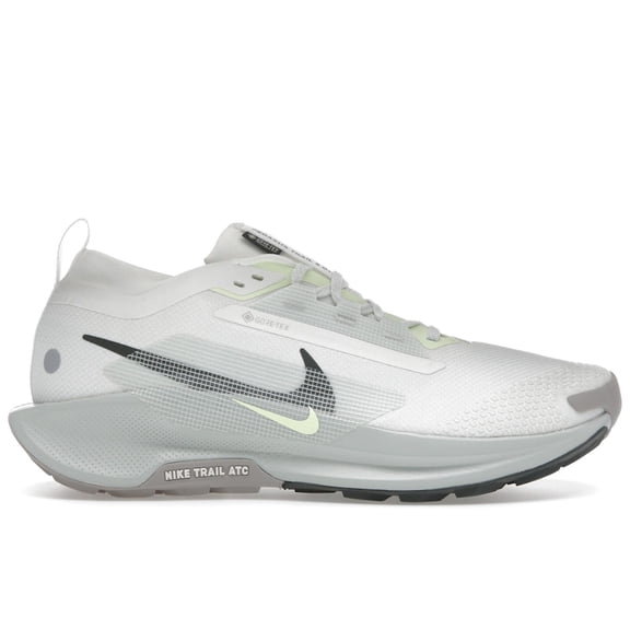 Nike Men's Pegasus Trail 5 Gore-Tex Summit White Light Silver College Grey Sequoia Shoes, from StockX