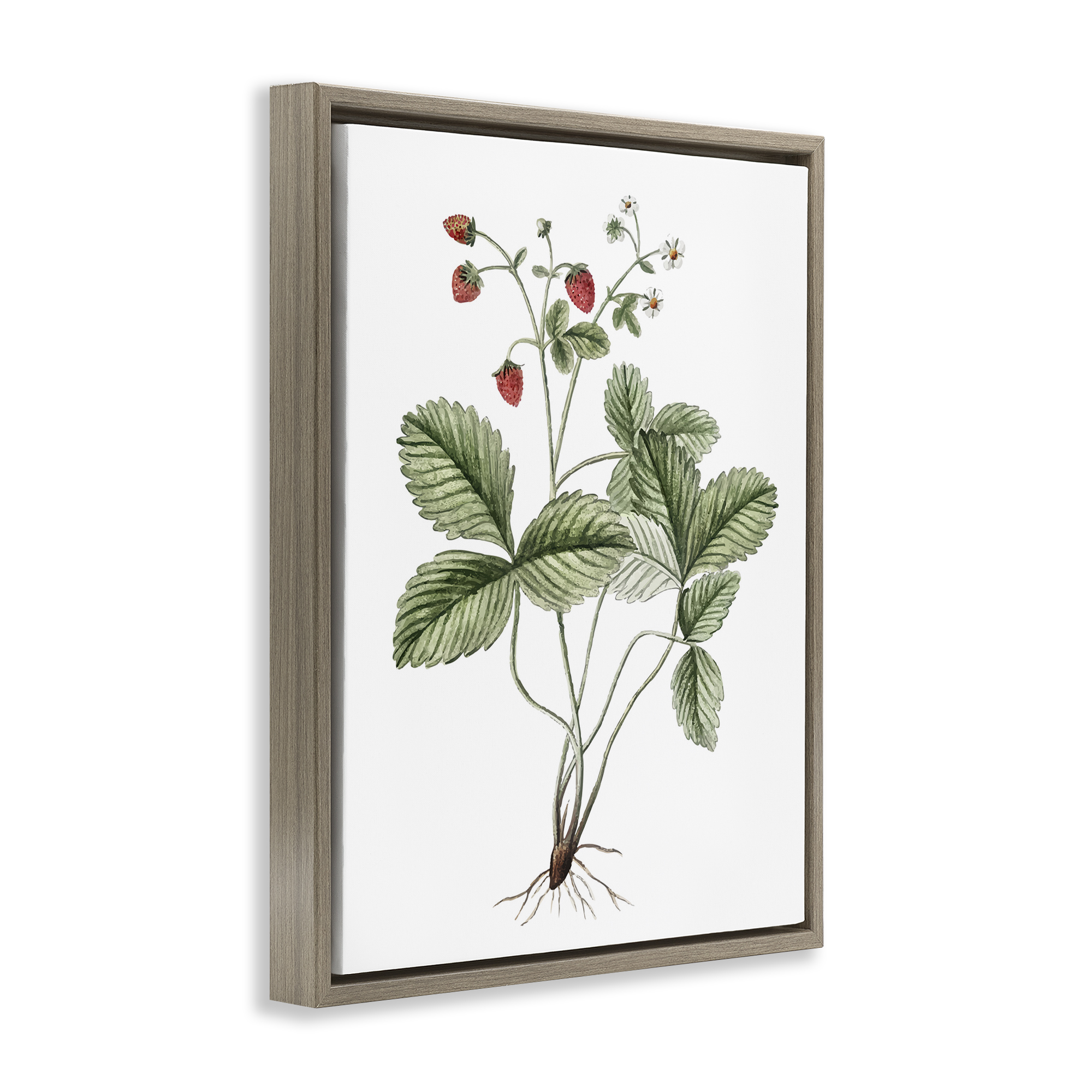 Stupell Industries Budding Strawberries Study Food & Beverage Painting Brown Floater Framed Art Print Wall Art, 17 x 21