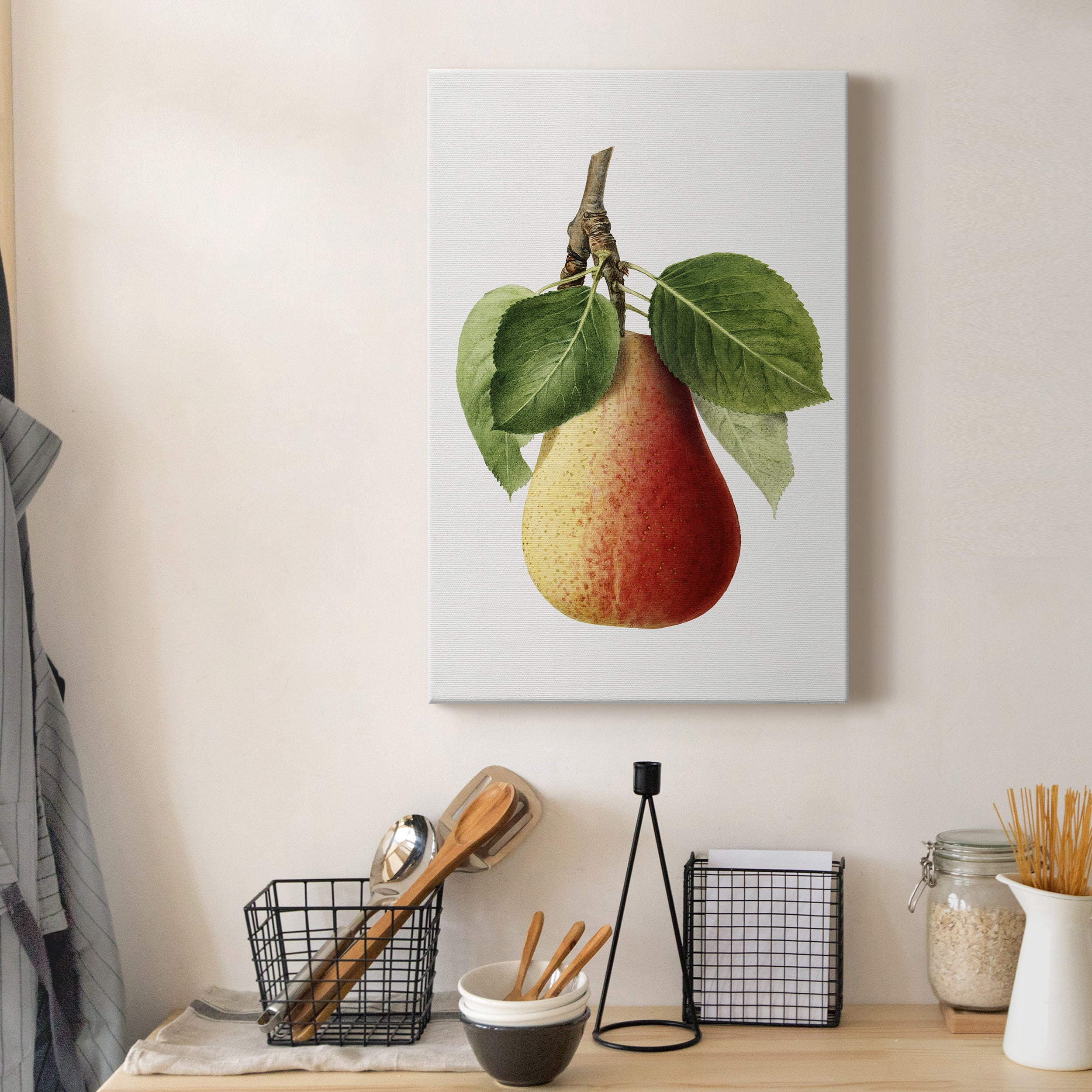 Vintage Pear Illustration II Premium Gallery Wrapped Canvas - Ready to Hang - 32 x 48