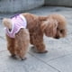 thumbnail image 1 of GOOHOCHY Para Perros De Rosa Con Absorción Transpirable Para Uso De Mascotas, 1 of 6