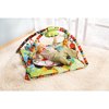 Infantino - Lil' Lion's Happy Hang Out G