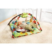Infantino - Lil' Lion's Happy Hang Out G