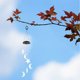 thumbnail image 5 of 1 lámpara de campanillas de viento solares colgantes para jardín, lámpara de campanillas de viento con forma de estrella y luna., 5 of 5