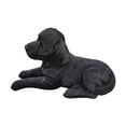 thumbnail image 3 of Lying Black Labrador Puppy Polyresin Garden Statue, 3 of 4
