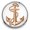 Brown, variant on Choose Color | Anchor Snap Jewelry Ginger Charm Button, For Interchangeable DIY Customizable Accessories