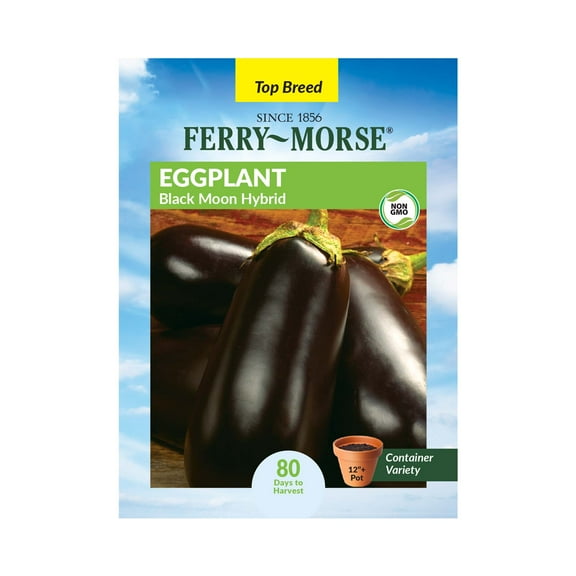 Ferry-Morse 175MG Eggplant Black Moon Hybrid Annual Vegetable Seeds, Full Sun