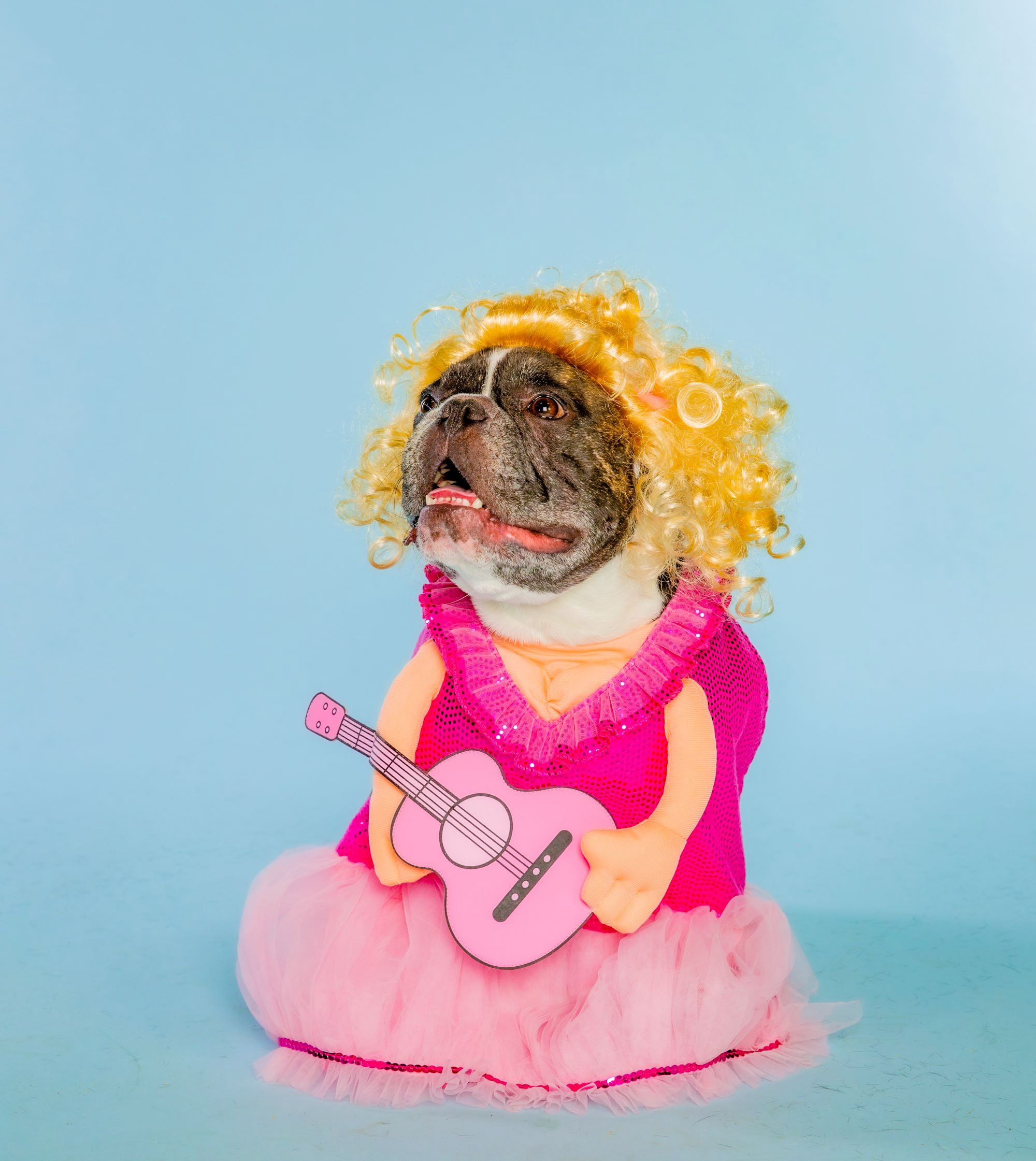 Doggy Parton, Dog and Cat Clothes, Country Sweetheart Pet Dress Costume Set, Pink, XS/S