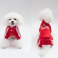thumbnail image 3 of Ropa para perros en otoño e invierno Ropa para perros pequeños y medianos de cuatro patas Teddy Xiong Fadou Bo Mei, 3 of 6