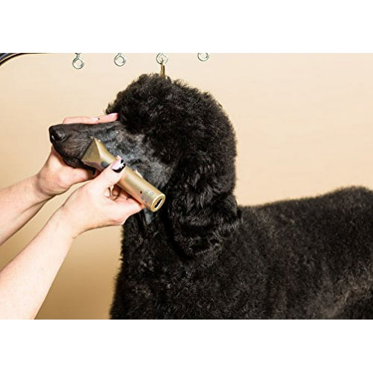 Wahl mini arco pet trimmer top