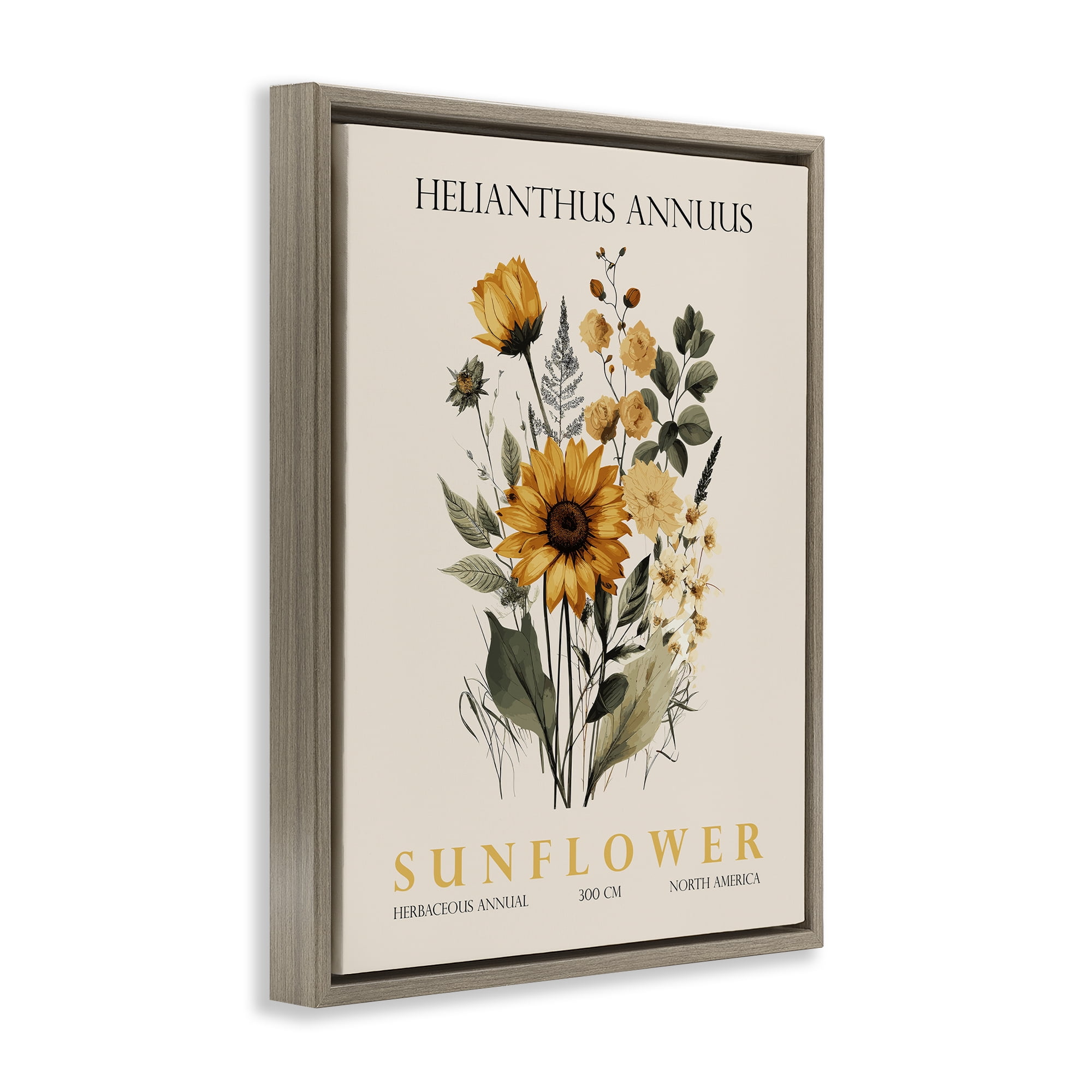 Stupell Industries Natural Sunflower Bundle Brown Framed Floater Canvas Wall Art, design by Christopher Giampietro