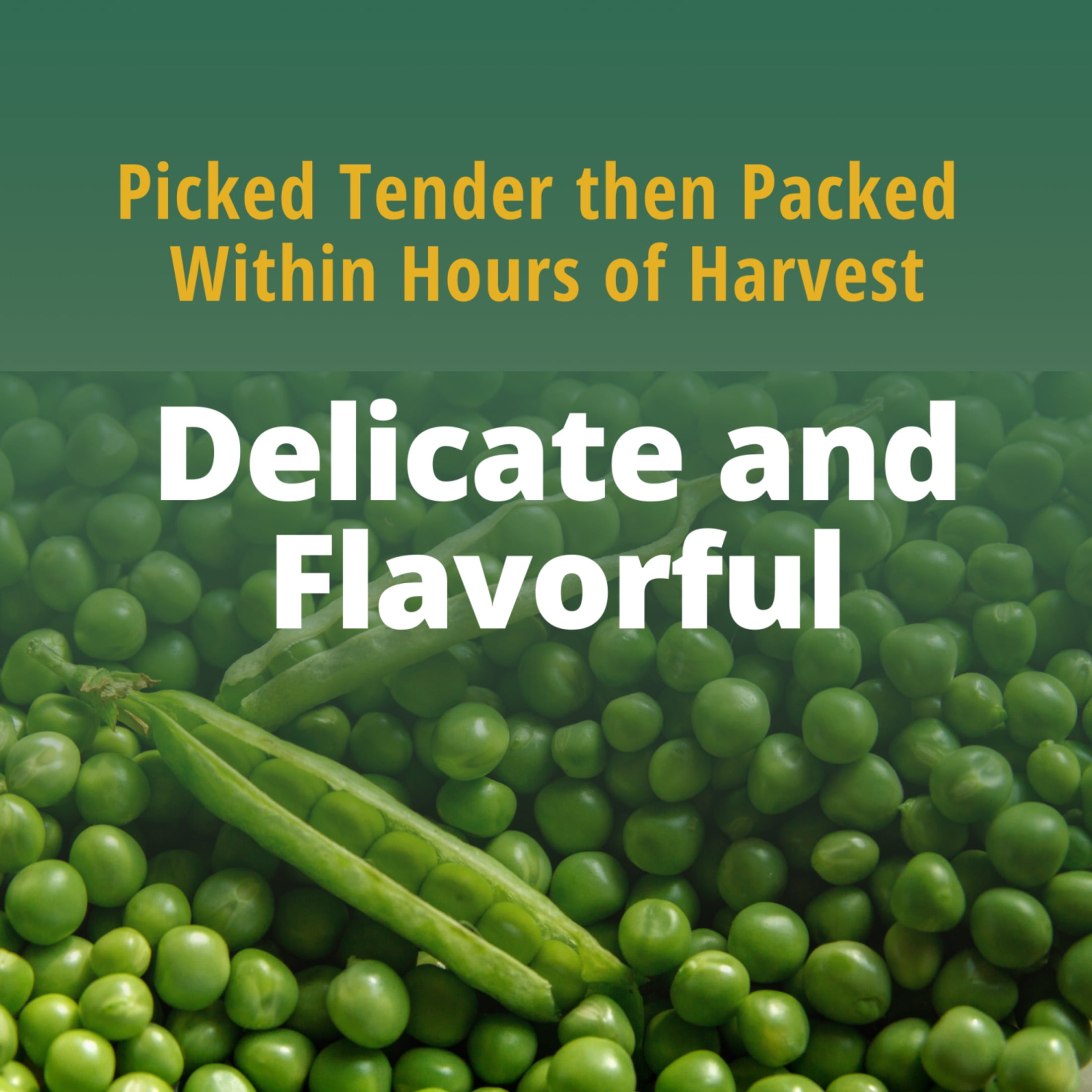 (12 pack) Del Monte Very Young Small Sweet Peas 15.25 oz Can, Canned Vegetables