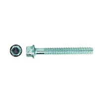 Red Head Screw Anchor,Hex,3/4 in,PK10 LDT-3454