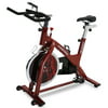 Bladez Fusion GS II Stationary Indoor Cardio Exercise Fitness Cycling Cycle Bike