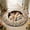 Multicolor37, variant on Tuvgenk Non Slip Area Rugs Multicolor Rabbit Washable Rug Circle Easy Clean Polyester Roung Rug for Living Room Bedroom