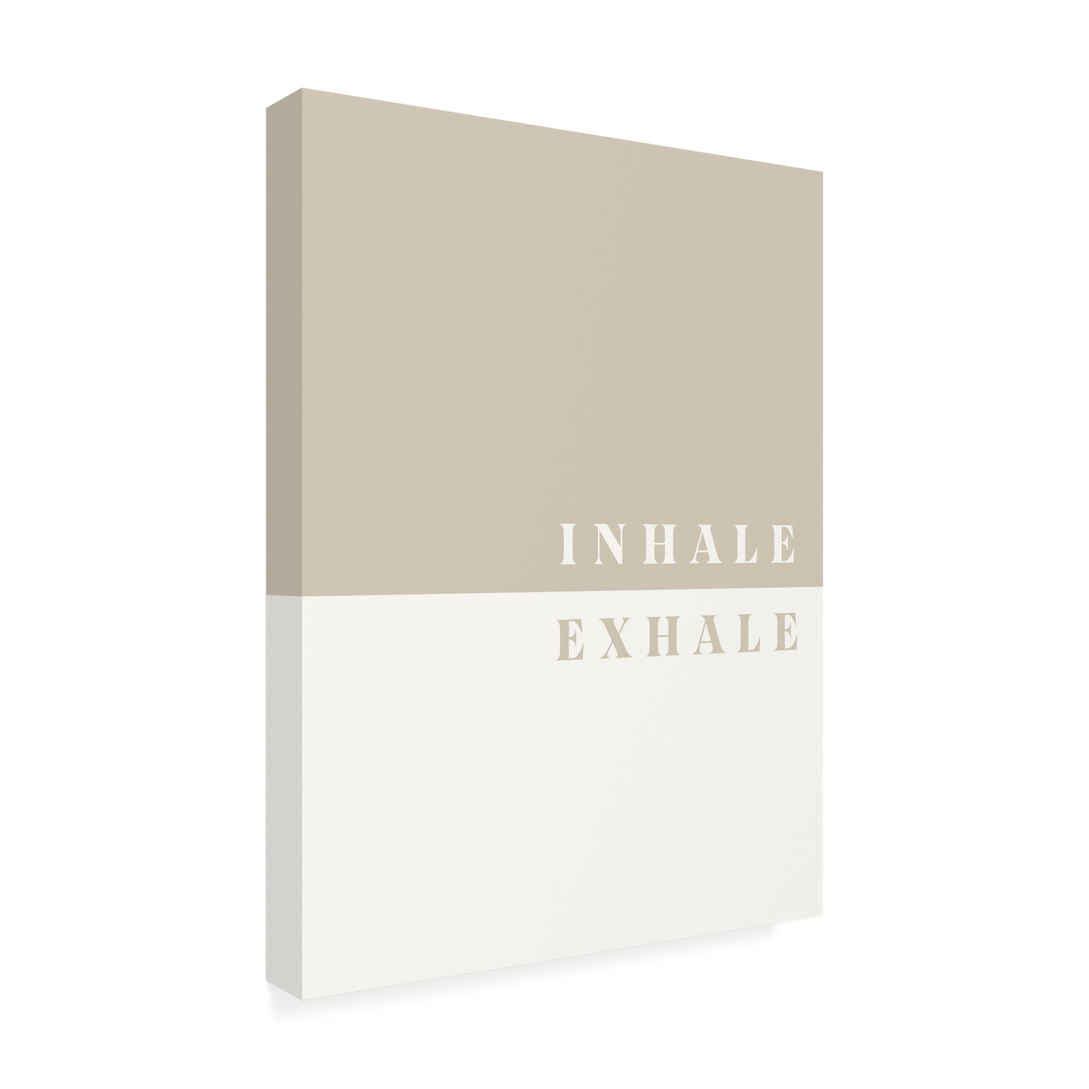 Trademark Fine Art Aislinn Simmonds Inhale, Exhale Canvas Wall Art