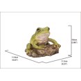 thumbnail image 3 of WHITE'S TREE FROG, 3 of 4