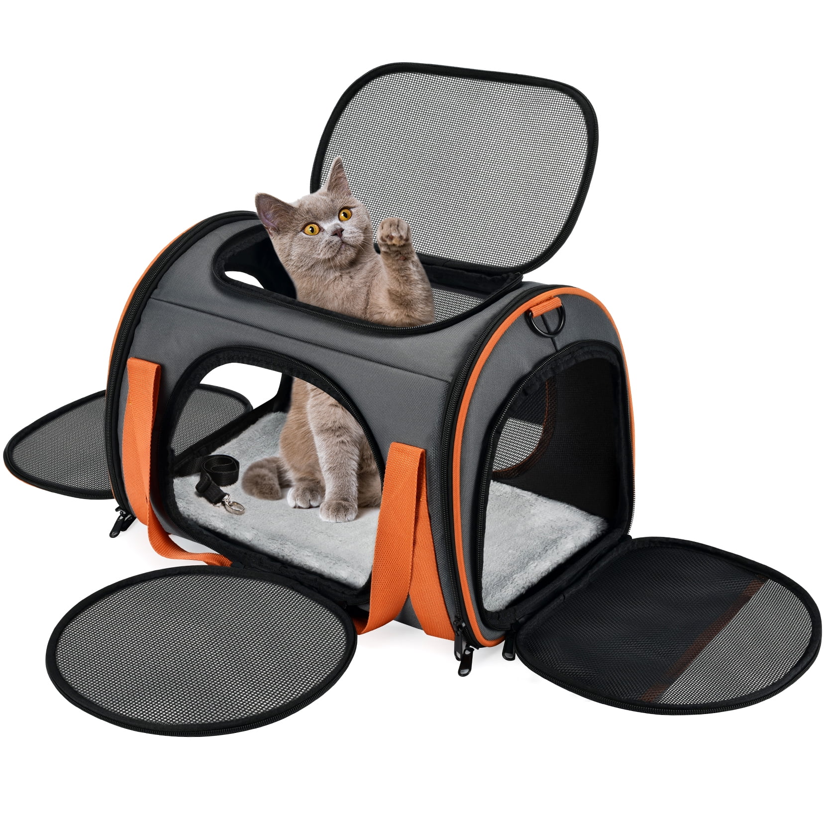 How to Choose the Right Airline-Approved Pet Carrier for Your Cat