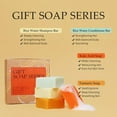 Yeokoe Travel Gifts Turmeric STF9 Soap Bar and Rice Water Shampoo Bar