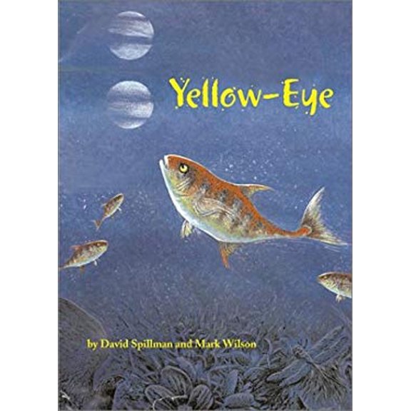 Pre-Owned Yellow Eye (Hardcover) 1566564107 9781566564106