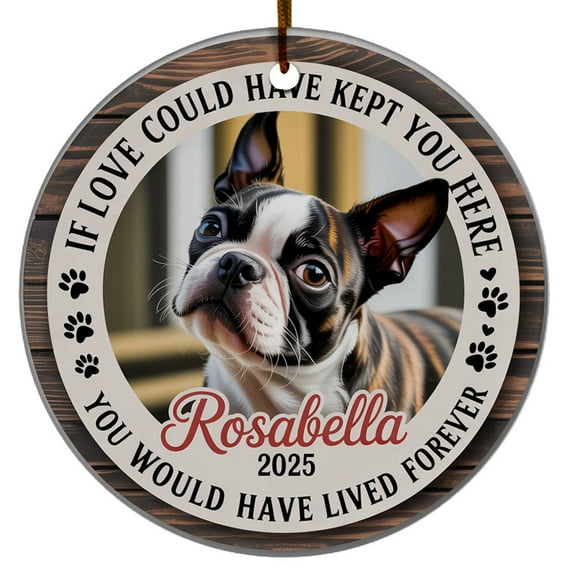 If Love Could Have Kept You Here Would Lived ForPhoto Name Remembrance Christmas Ornament for Loss of A Dog Cat Pet, Custom Gift Picture Memorial Cat Dog Christmas Ornament