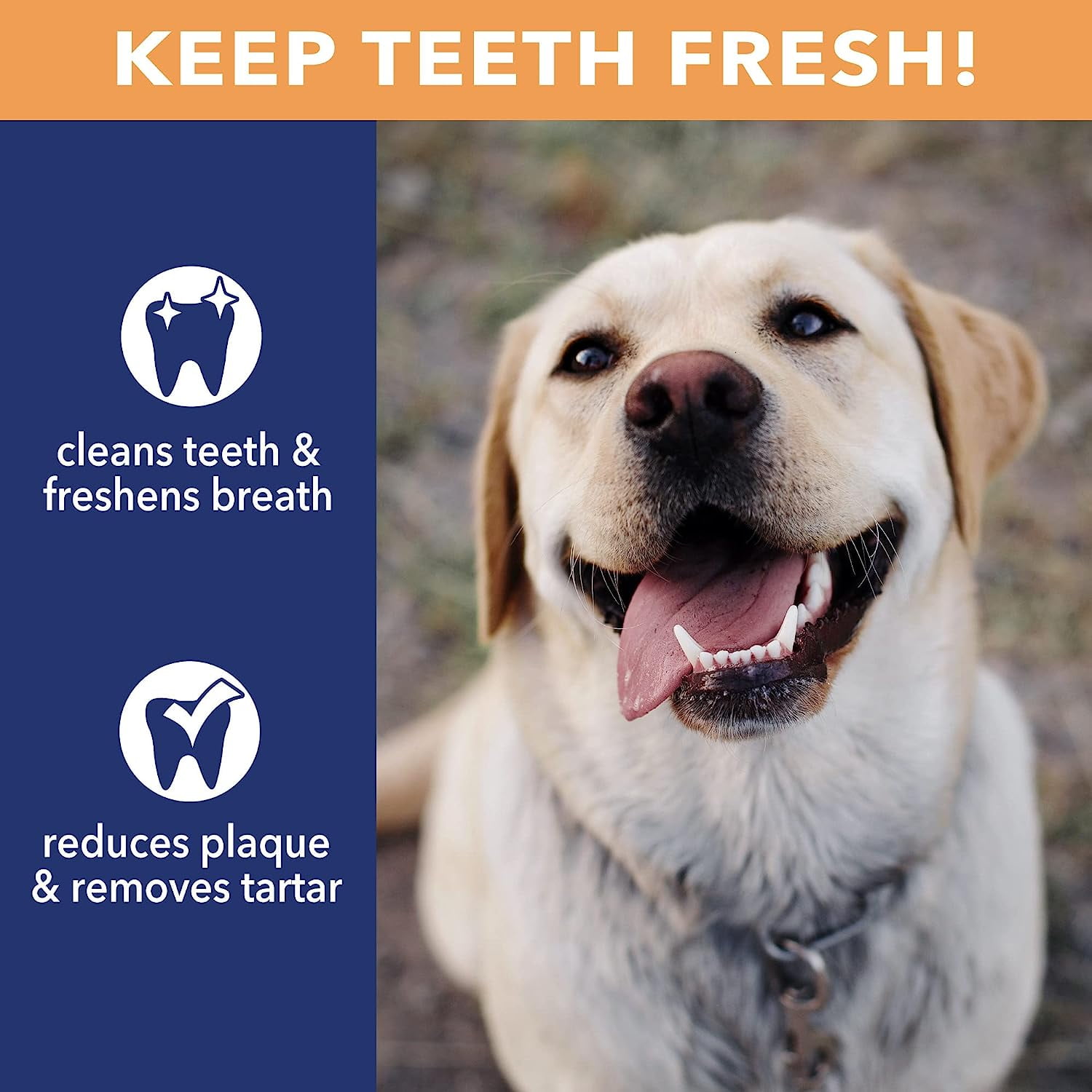 Pet Factory CareChewz Collagen 6-7" Small Wraps Dog Chew Treats - Natural Flavor, 12 Count/1 Pack