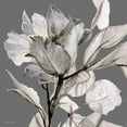 thumbnail image 2 of Stellar Design Studio 20x20 White Modern Wood Framed Museum Art Print Titled - Floral in Gray 2, 2 of 4