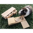 thumbnail image 5 of AAOMASSR Small Animals Hide Treats Foraging Puzzle Toys, Pet Interactive Snuffle Logic Game for Mental Enrichment, for Guinea Pigs, Rabbits, Chinchillas, 5 of 5