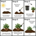 thumbnail image 6 of Expert Gardener Blackberry Von Live Shrub (2.25 Gallon), 6 of 8