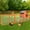 Brown|122 in, variant on Aukfa 150" Extra Large Chicken Coop Wooden 2 Tier Chicken Run Cage with 4 Nesting Boxes, Waterproof Roof for Outdoor, Backyard, Black